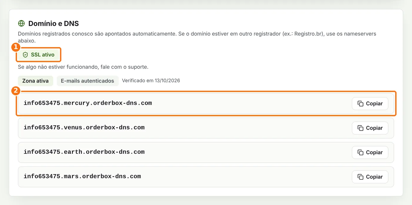 Quadro Domínio e DNS com o selo SSL ativo e os servidores DNS destacados